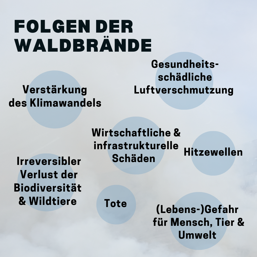 Folgen der Waldbrände